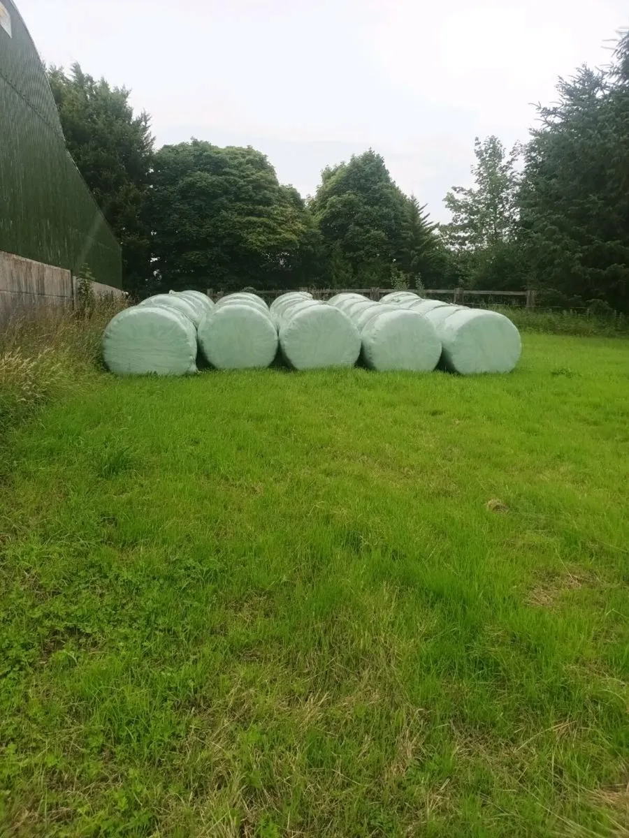 Silage