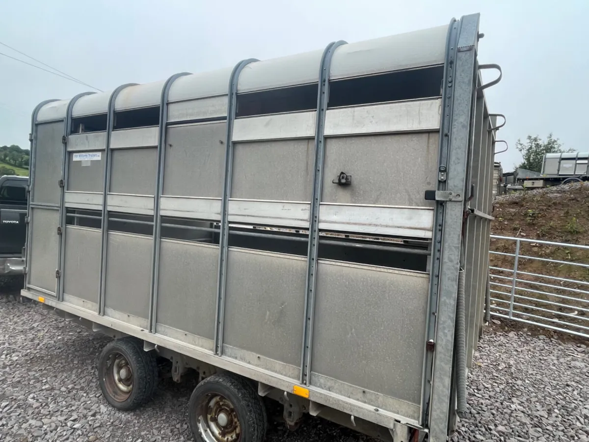 Ifor Williams 12ft x 6ft 6” demountable - Image 3
