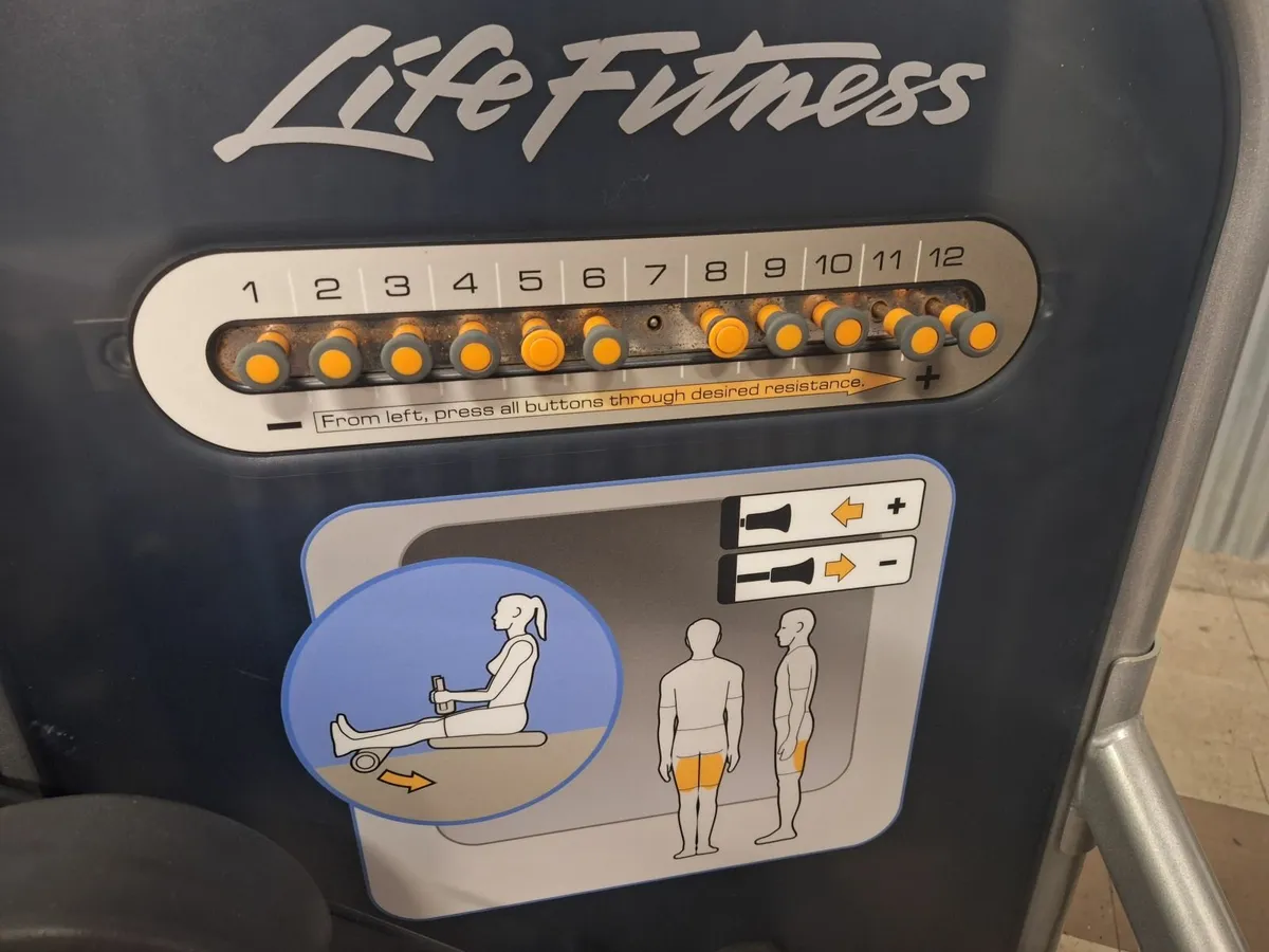 Online Auction Of A Leg Curl Machine & More! - Image 2