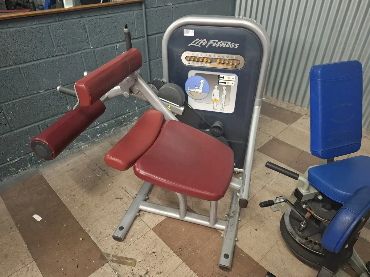 Online Auction Of A Leg Curl Machine & More! - Image 1