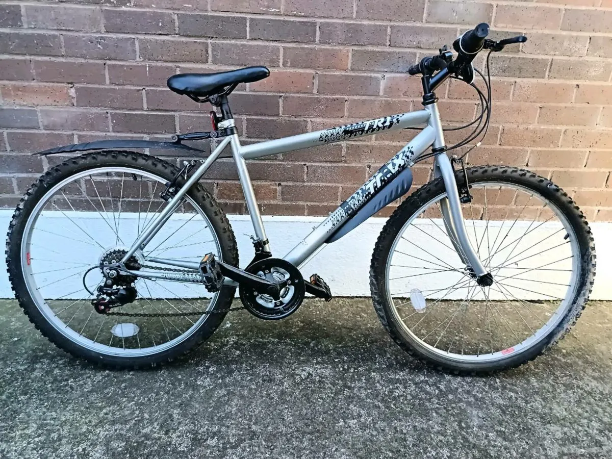 Adult Mountain Bike ( medium size frame)