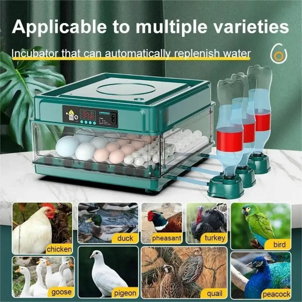 24 Egg Incubator with Auto Temp & Water Refill - Image 3