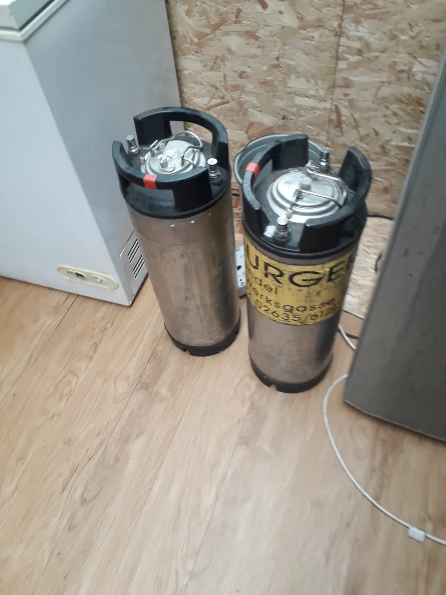2 x home brew cornykegs - Image 3