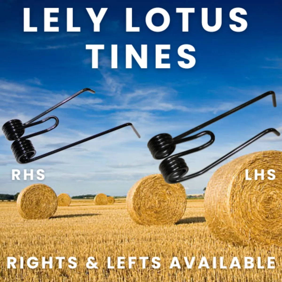 Lely Lotus Swather Tines (RHS & LHS)