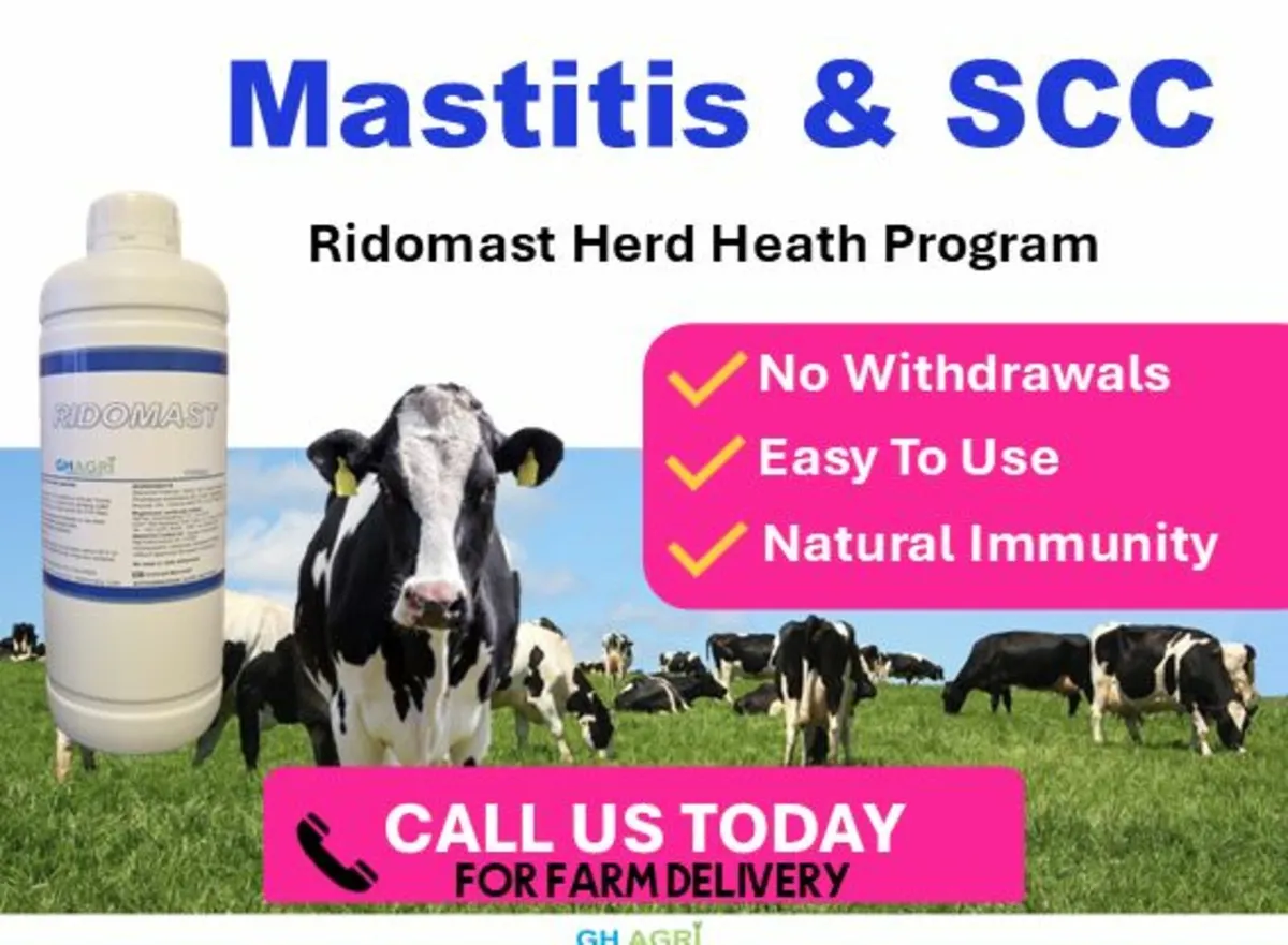 Mastitis SCC Program - Image 1