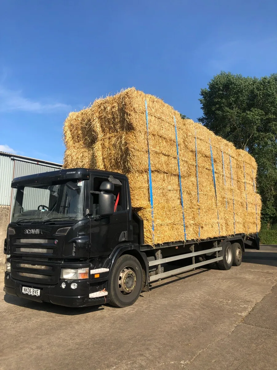 New season 2025 Barley and Wheat straw.