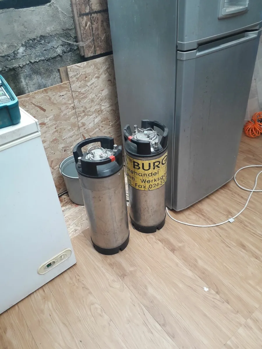 2 x home brew cornykegs - Image 1