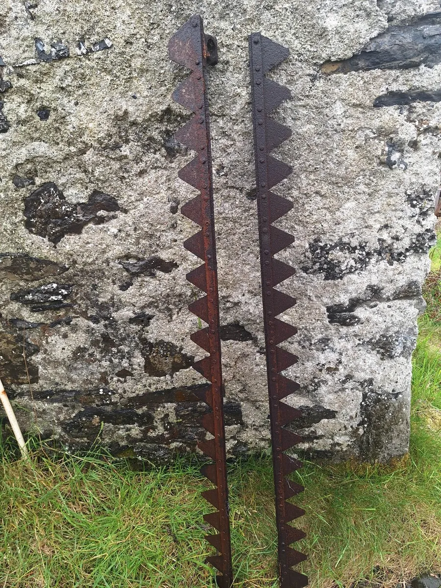 Blades from an old horse drawn mowbar