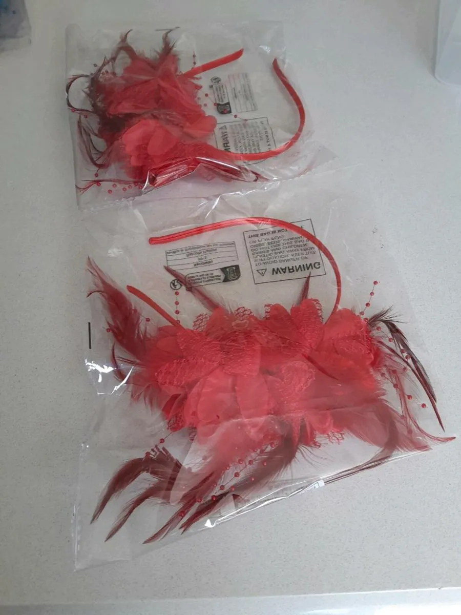 Fascinators - Image 2