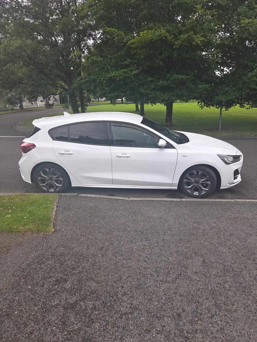 Ford Focus 2024 - Image 2