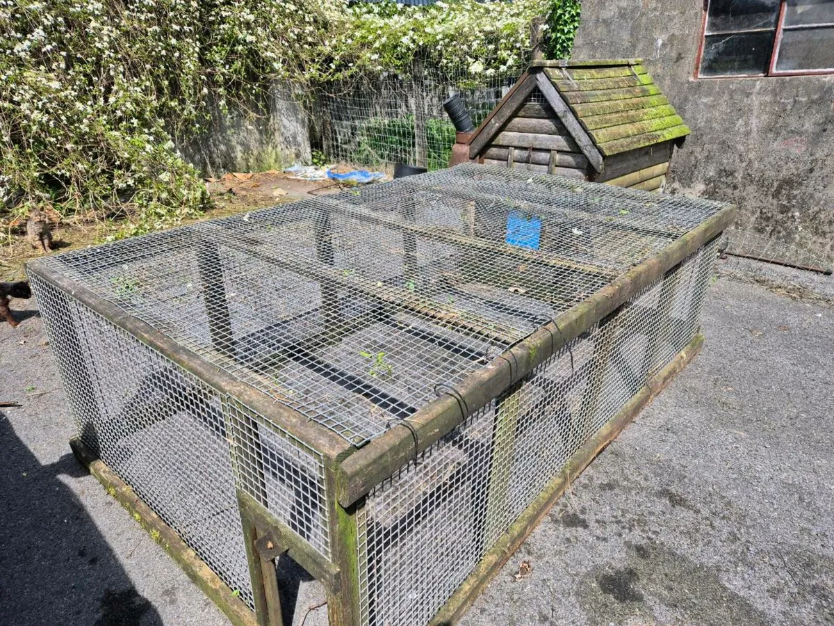 Chichen coop/run - Image 4