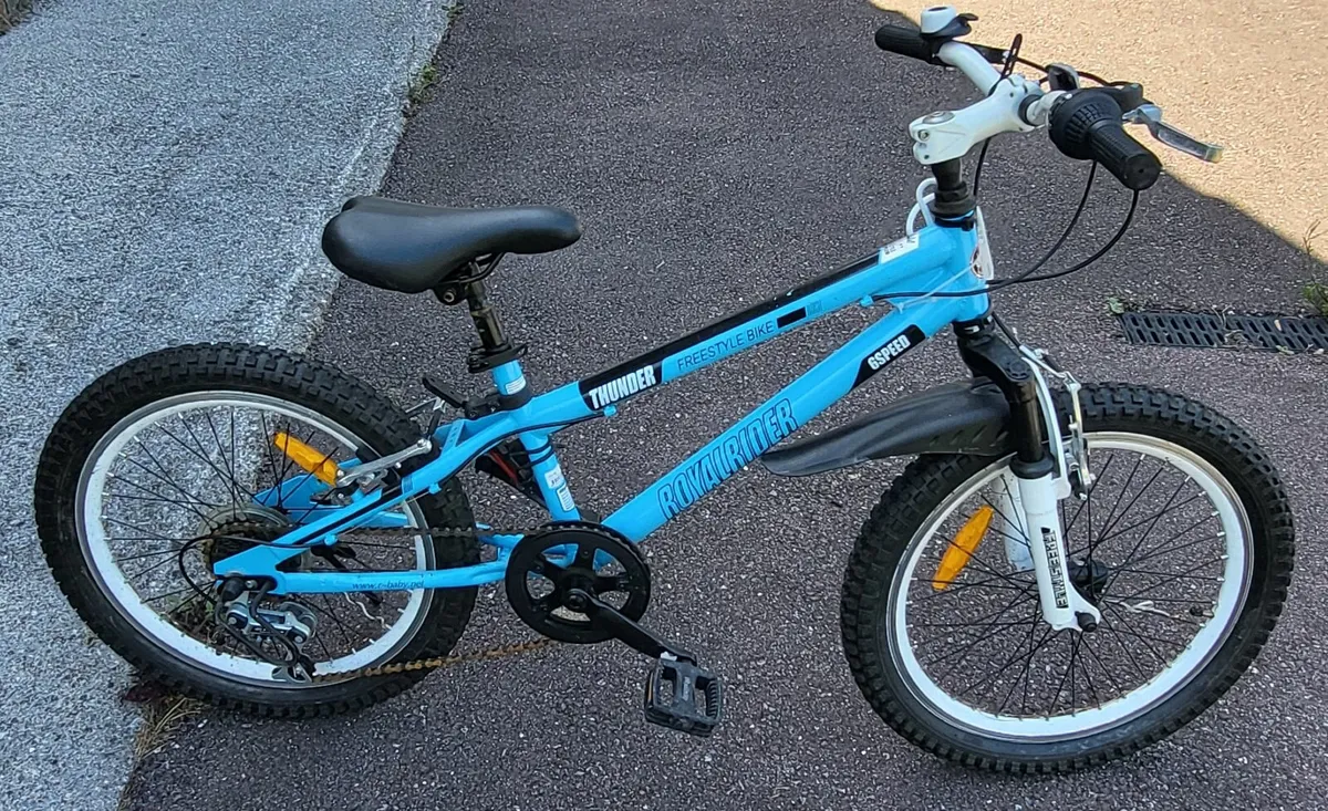 Childs Bike - RoyalRider Freestyle 20in - Image 1