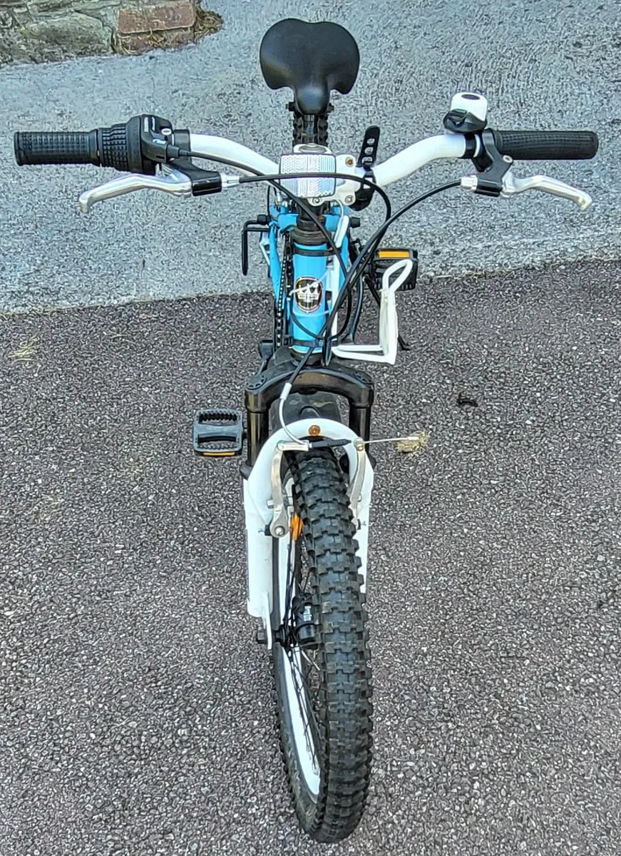Childs Bike - RoyalRider Freestyle 20in - Image 2