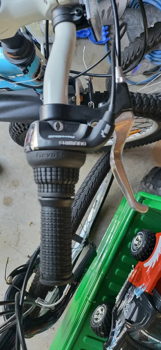 Childs Bike - RoyalRider Freestyle 20in - Image 3