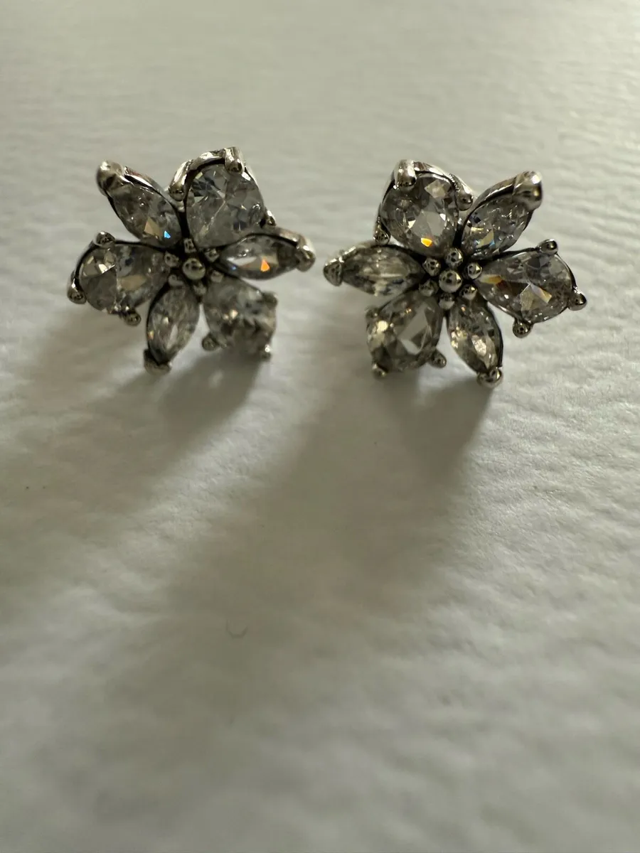 Pandora Sparkling Earrings - Image 1