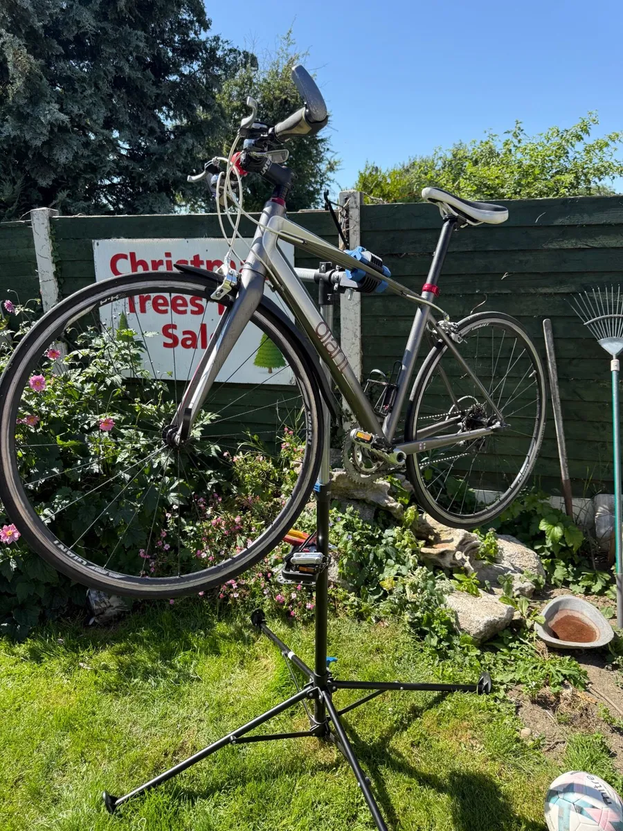 Bike - Image 2