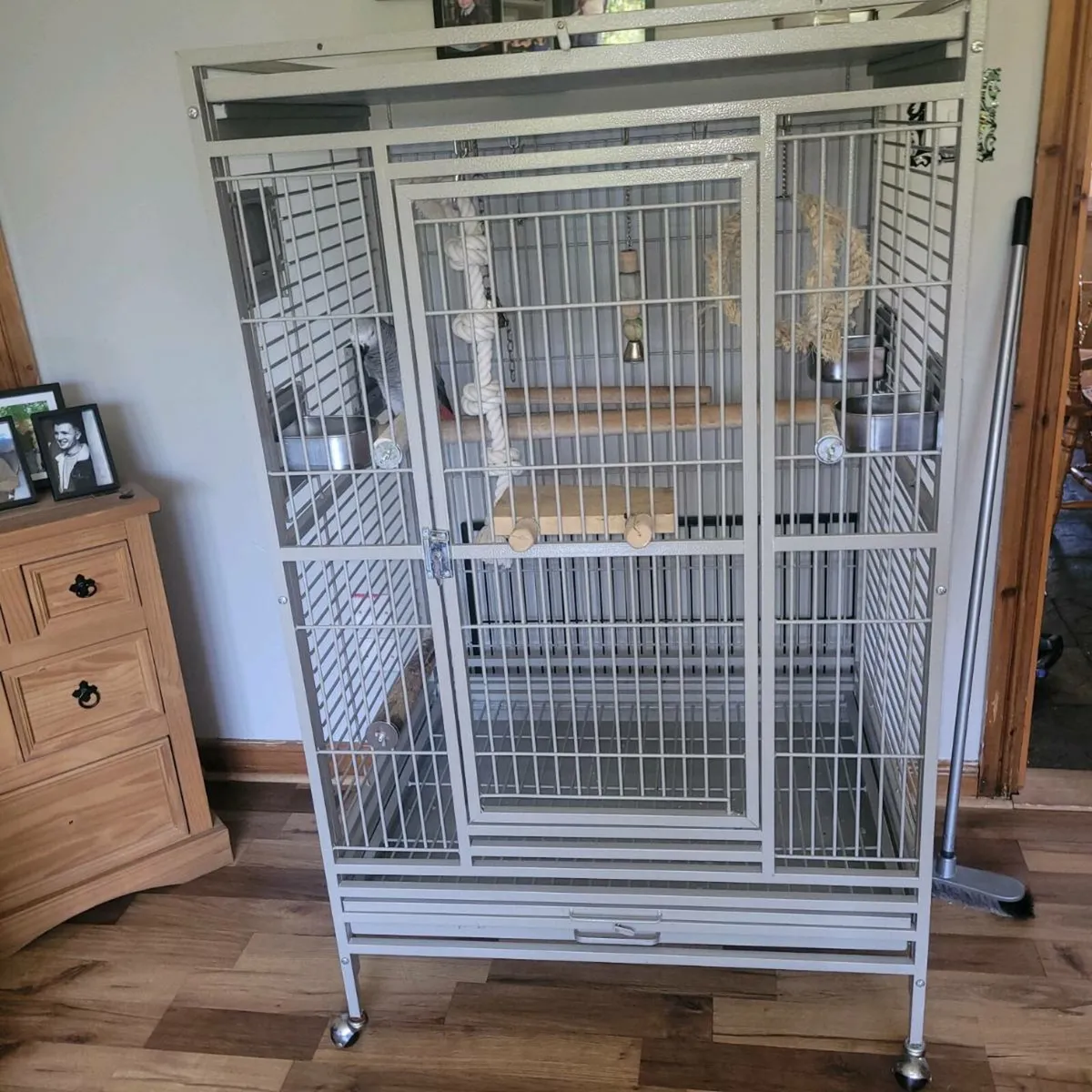 Bird cage - Image 2