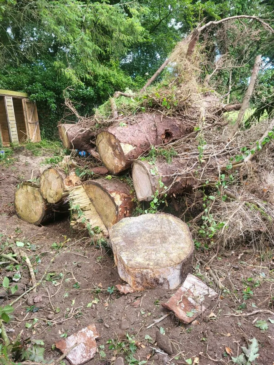 Firewood