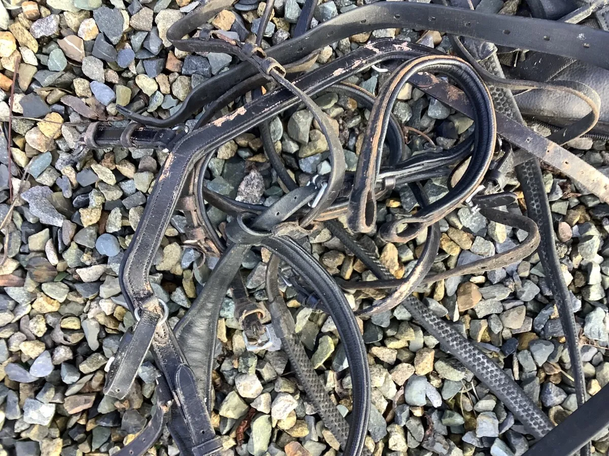 Horse Saddle - Image 4