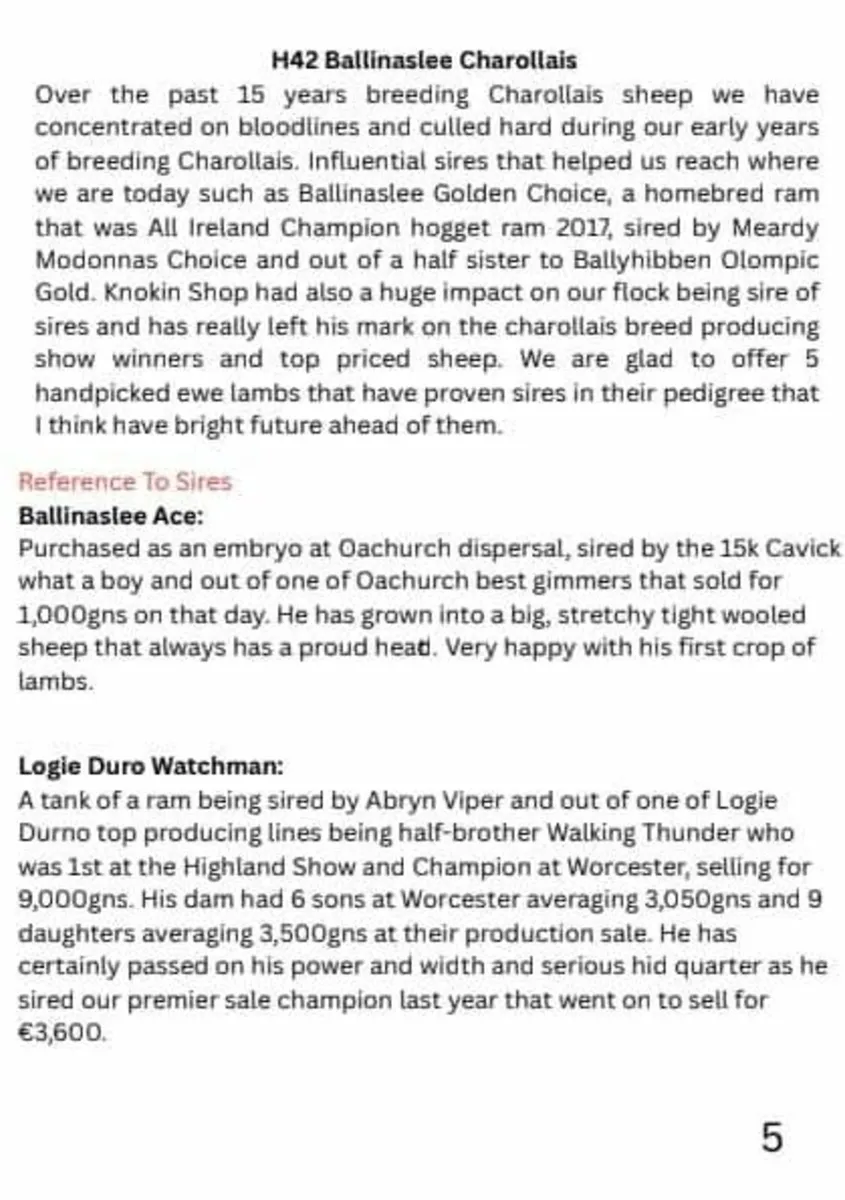 Tullow mart this Friday night 11th July 7pm - Image 4