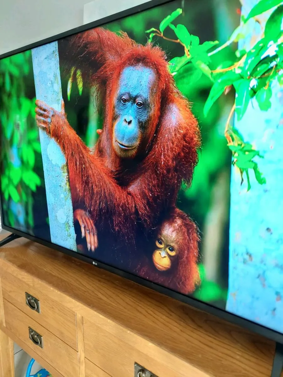 LG 55-INCH SMART TV - Image 3