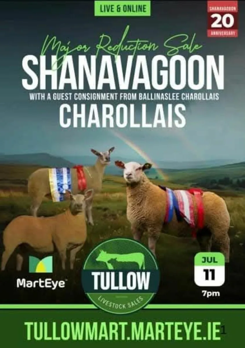 Tullow mart this Friday night 11th July 7pm - Image 1