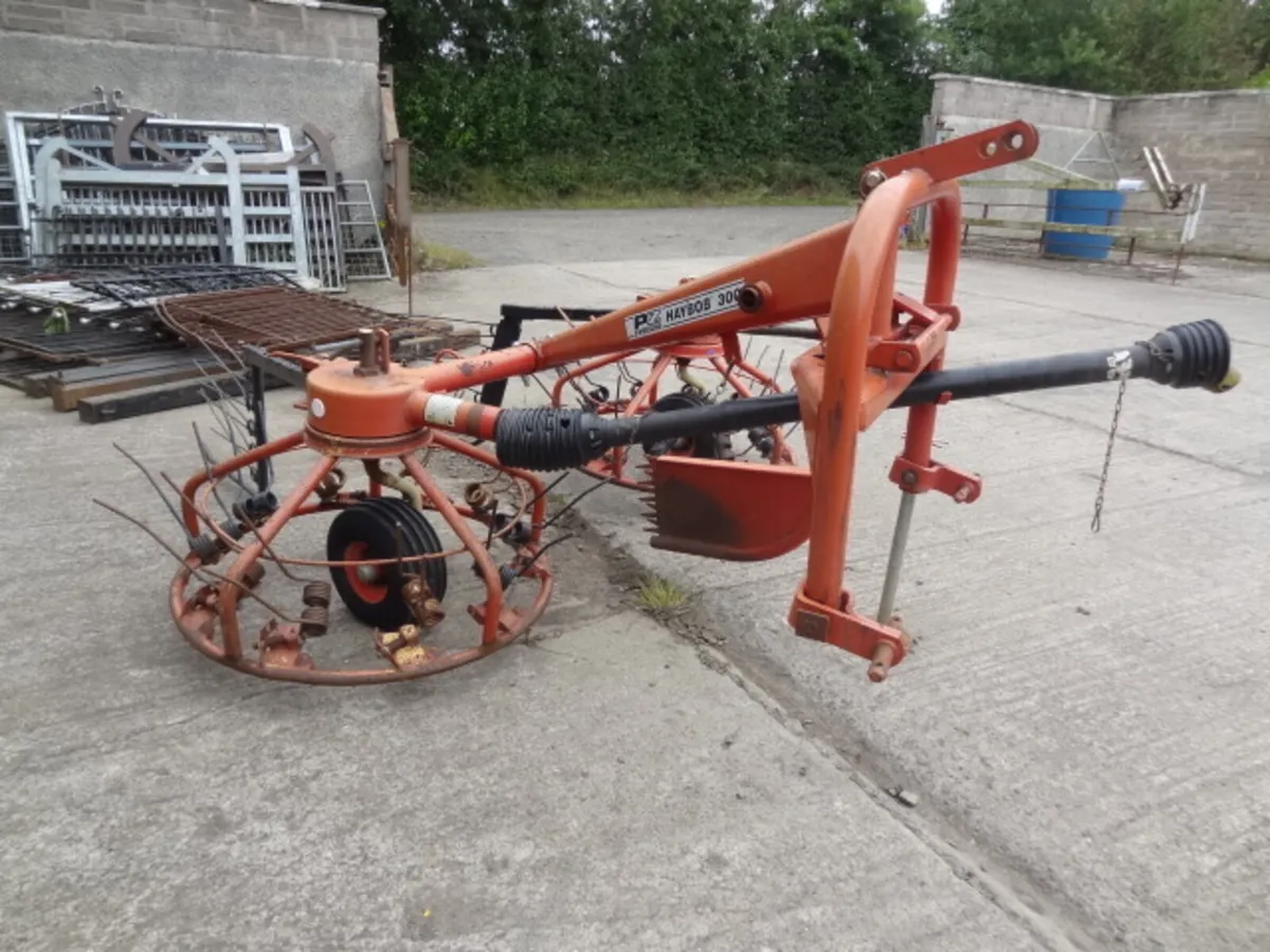 PZ 300 Haybob - Image 2