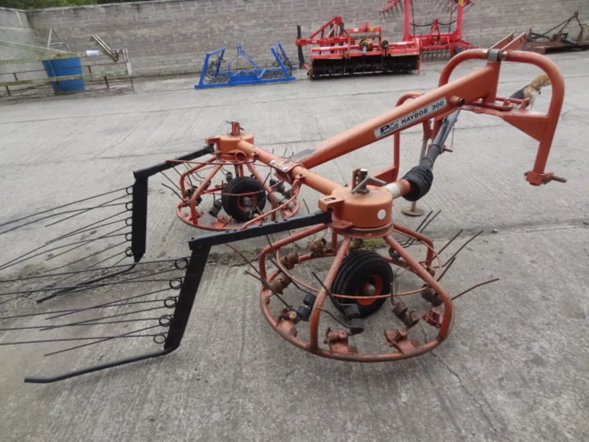 PZ 300 Haybob - Image 3