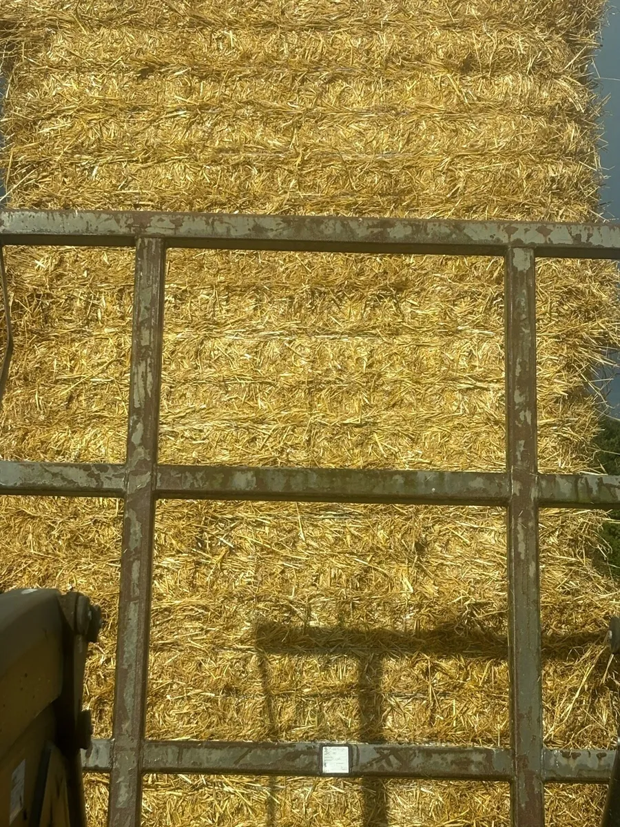 Barley straw  8x4x4, will take top bale off - Image 1
