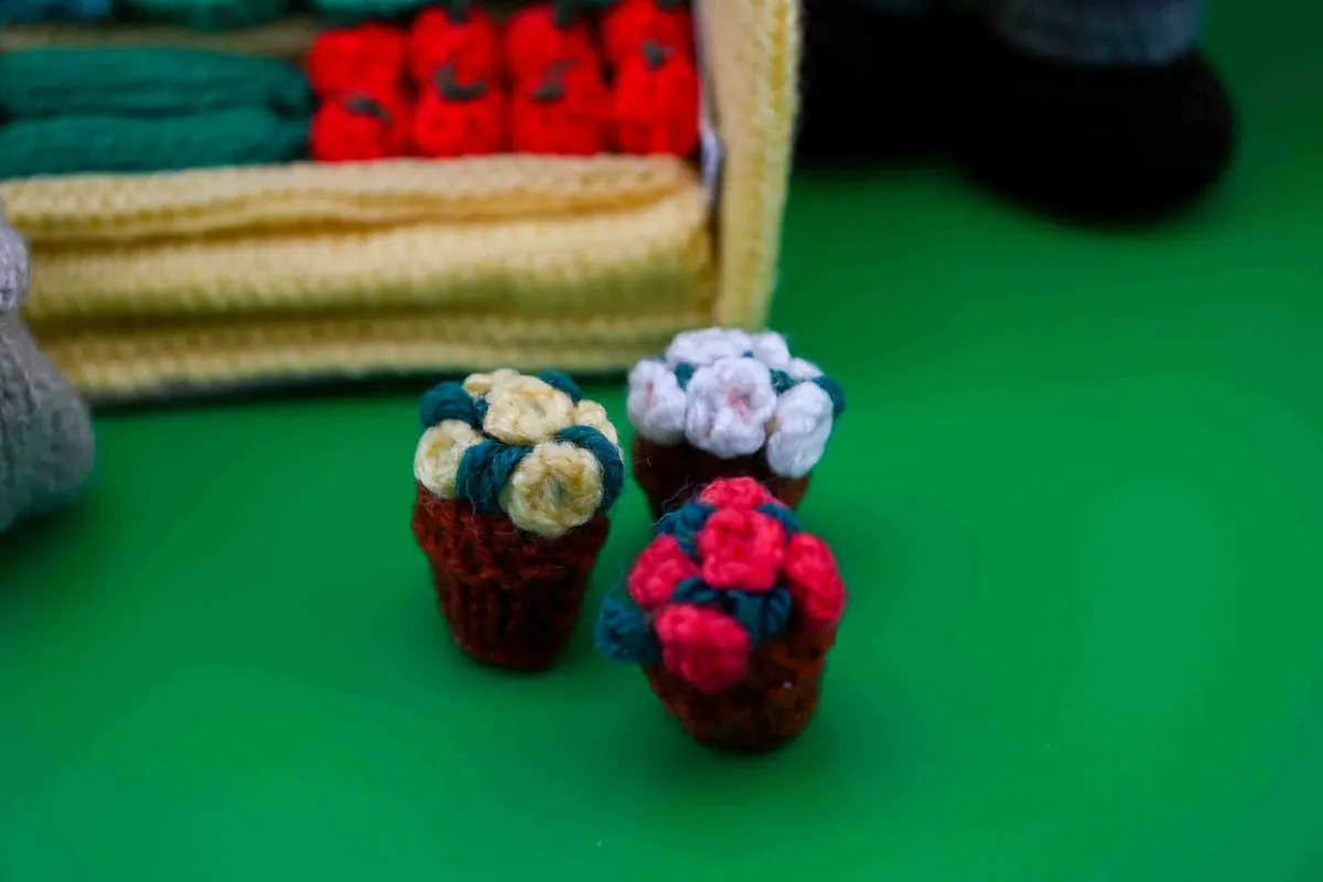 Knitted Vegetable Man - Image 2
