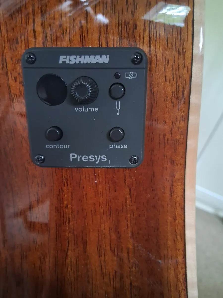 Brand new Richwood Artist Series with amp. - Image 2