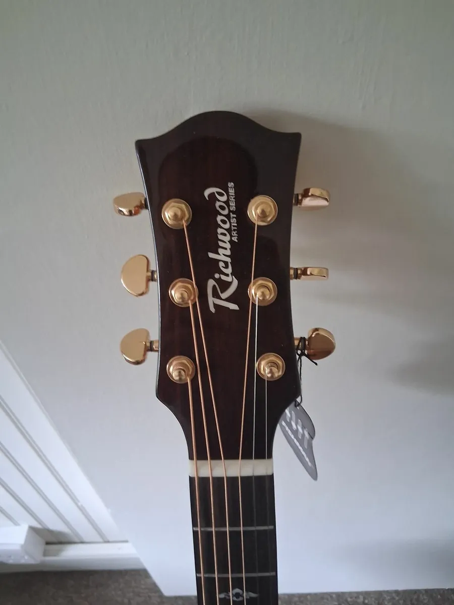 Brand new Richwood Artist Series with amp. - Image 3