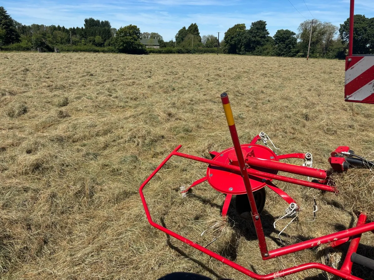 Top quality hay - Image 1