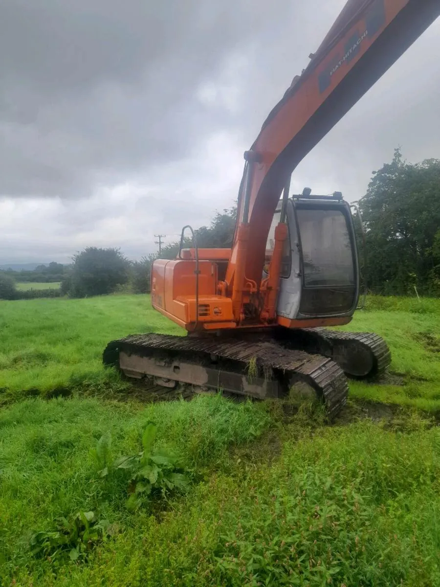 Ex 135 - Image 2
