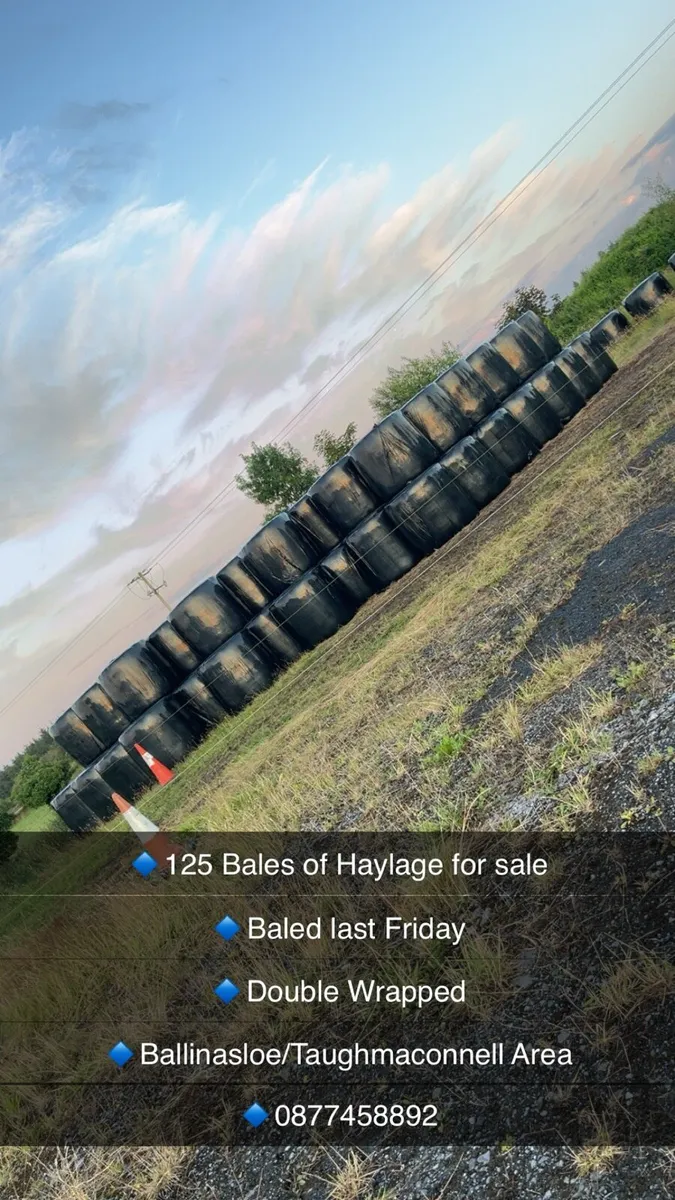 Haylage 125 Bales - Image 1