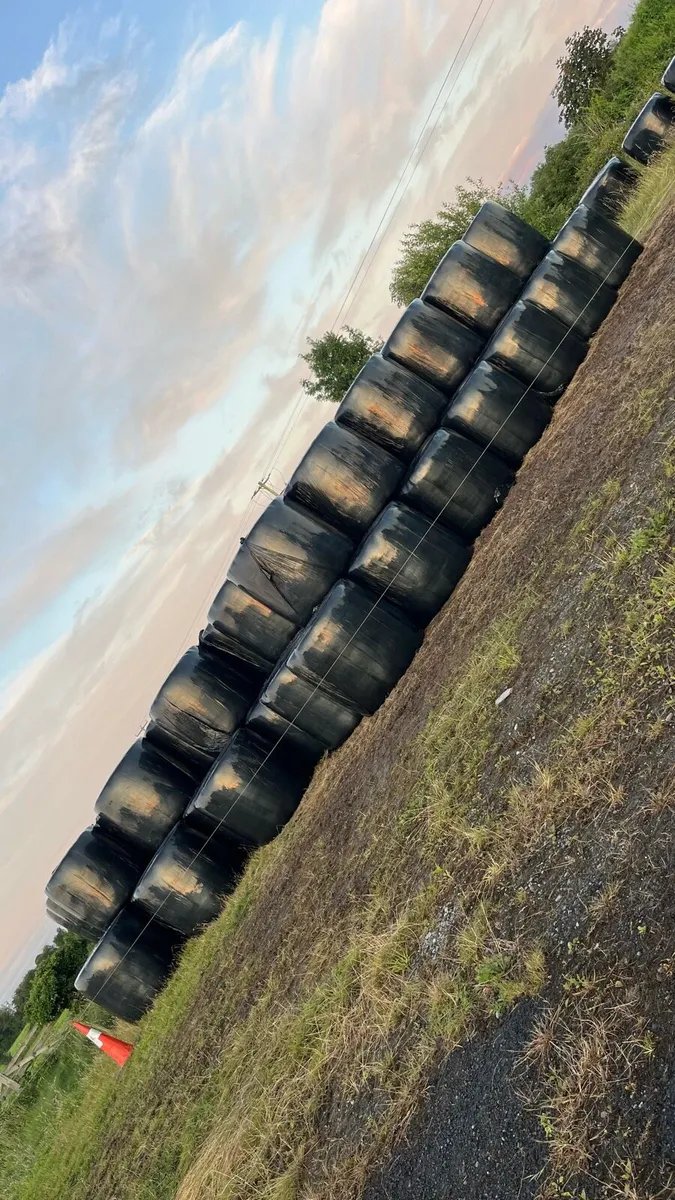 Haylage 125 Bales - Image 3