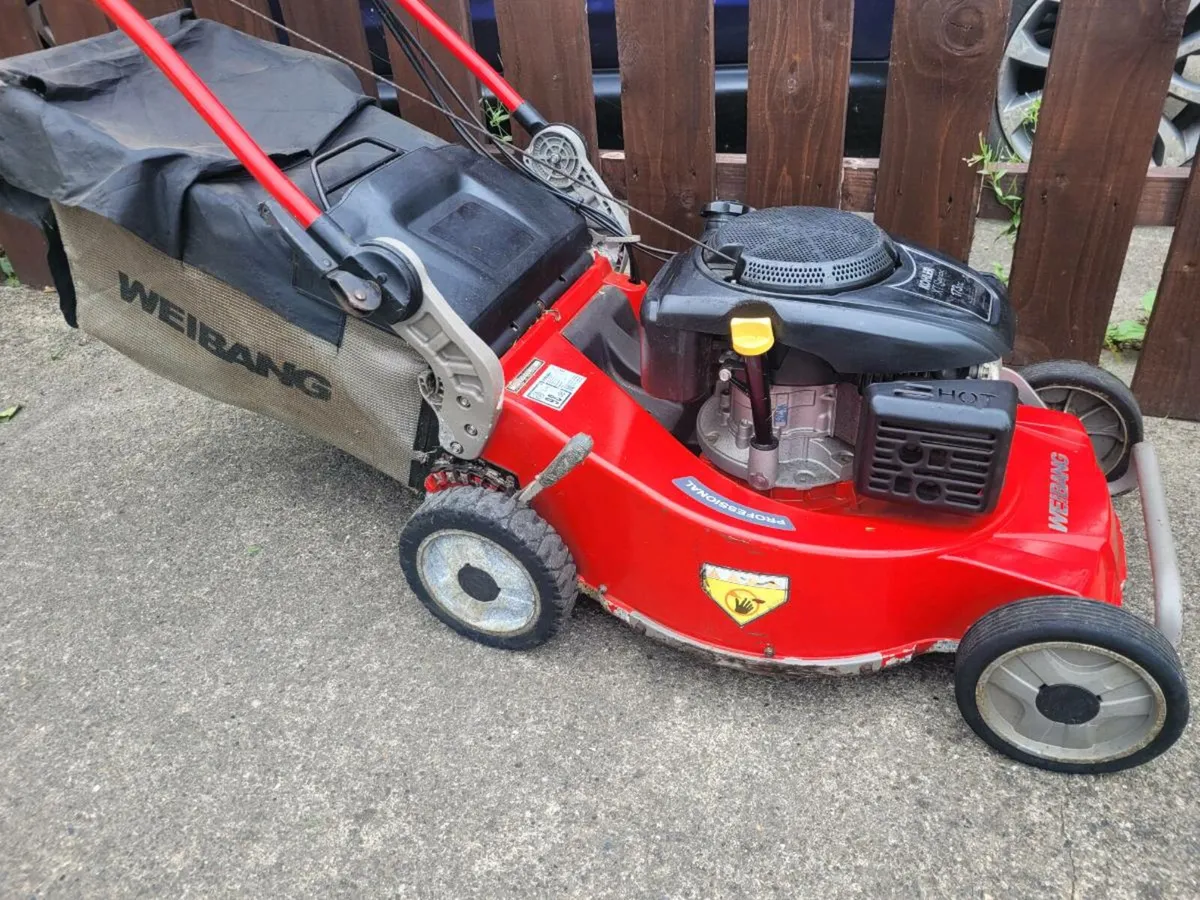 Weibang professional lawnmower - Image 1