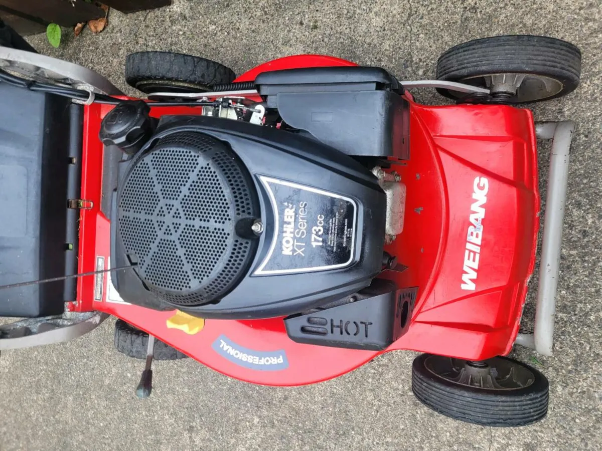 Weibang professional lawnmower - Image 3