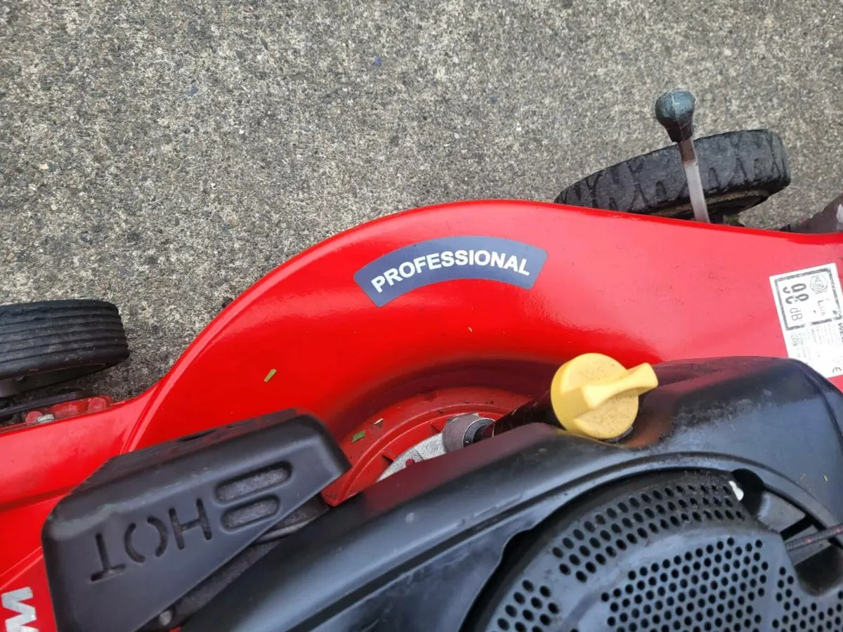 Weibang professional lawnmower - Image 4