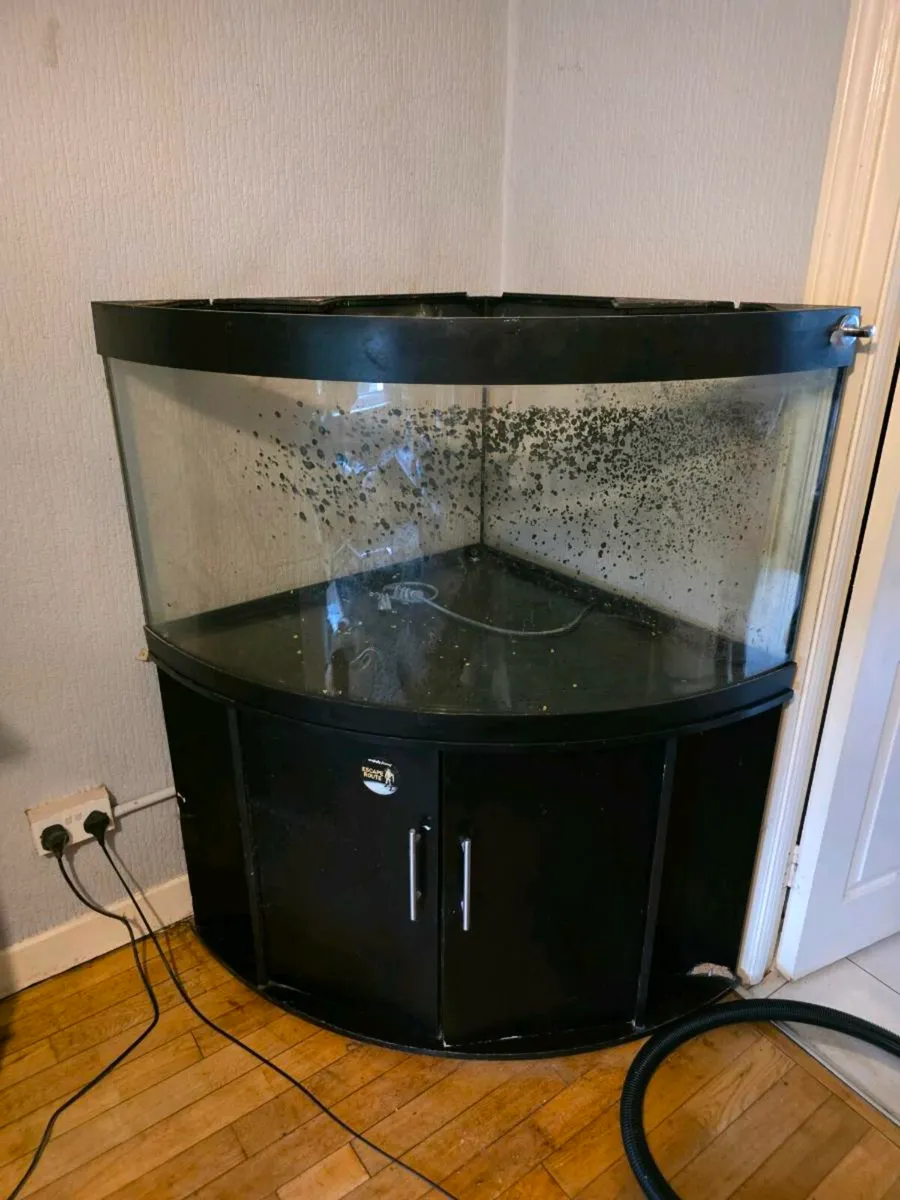 Fish tank 350 litre