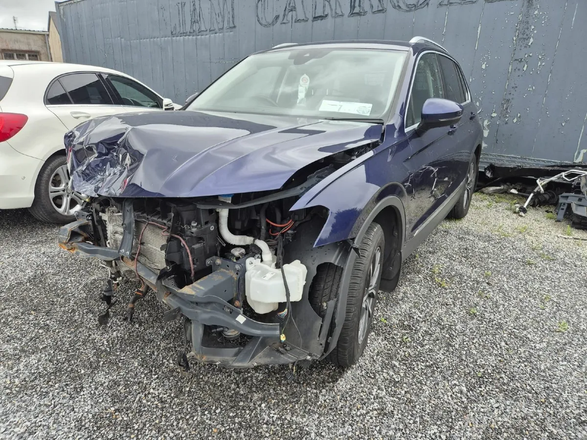 171 Tiguan - Image 2