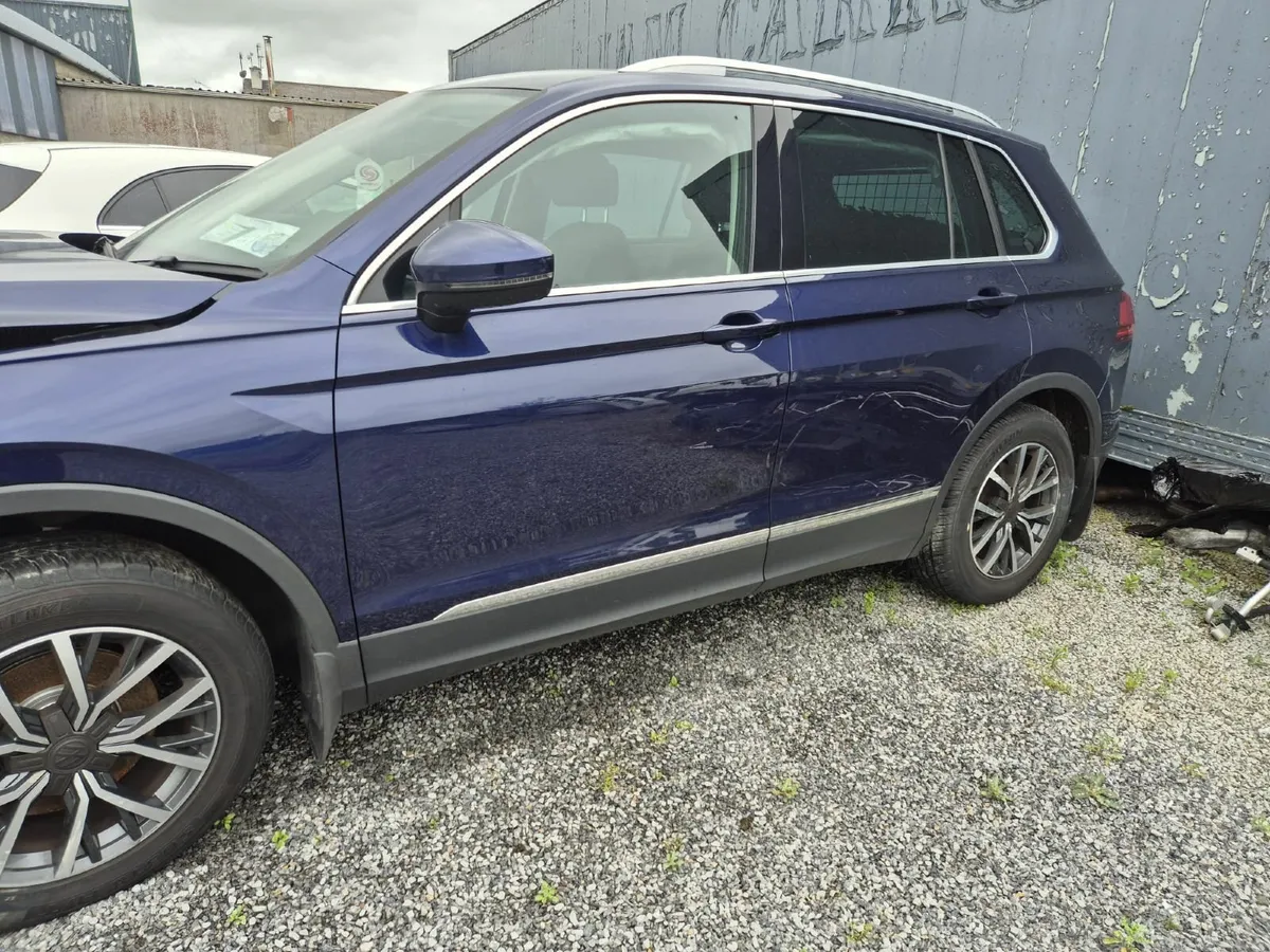 171 Tiguan - Image 3