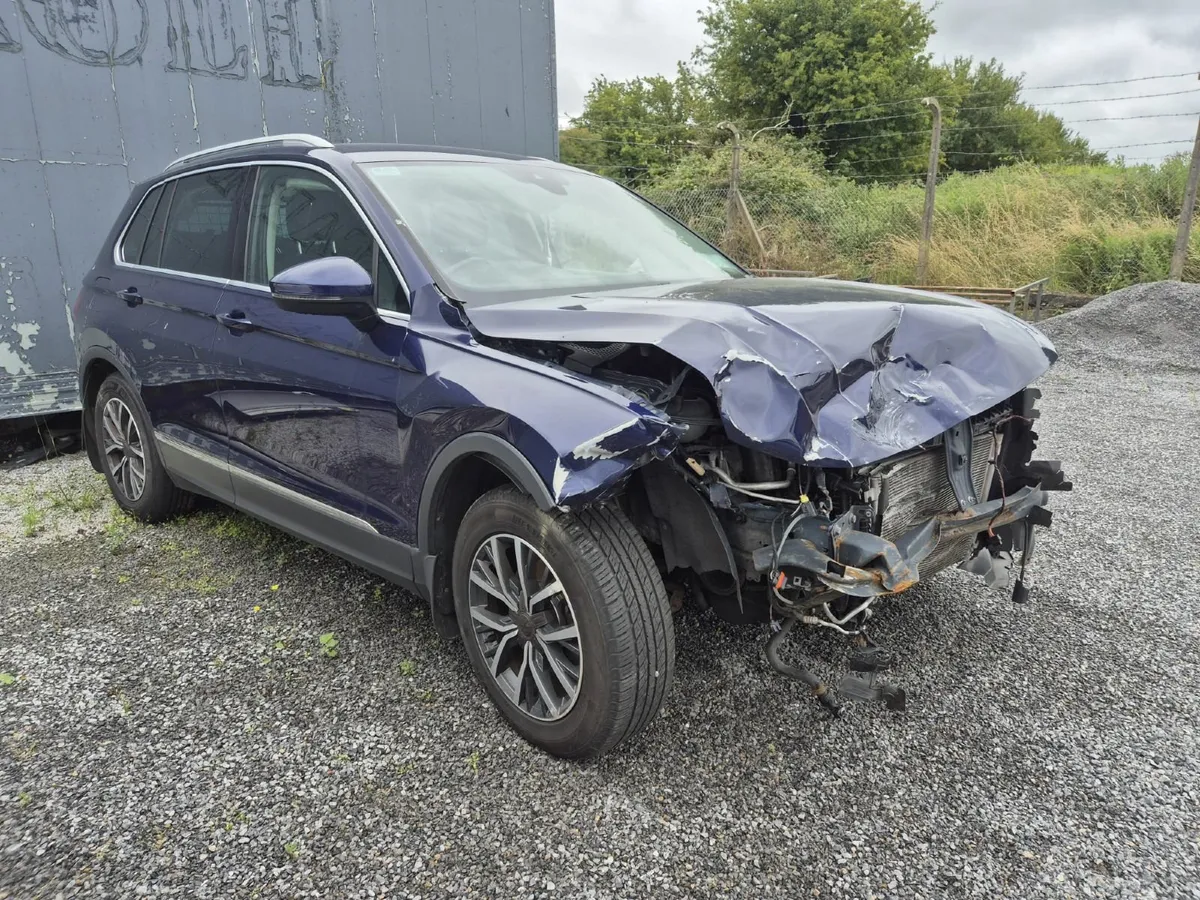 171 Tiguan - Image 1
