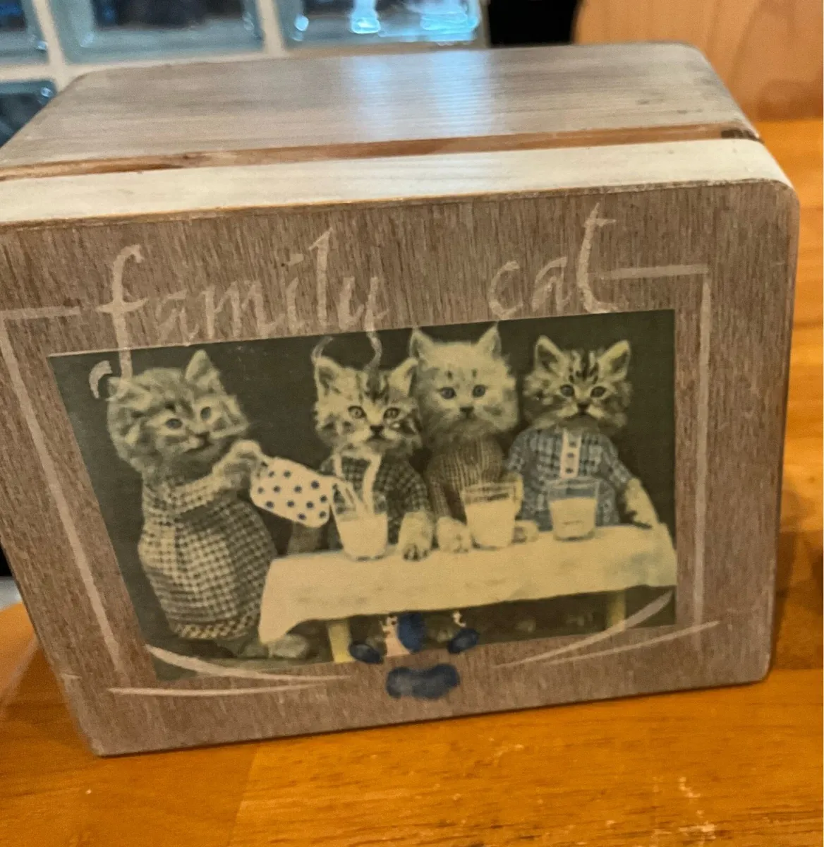 ‘Family Cat Box’ - Image 1