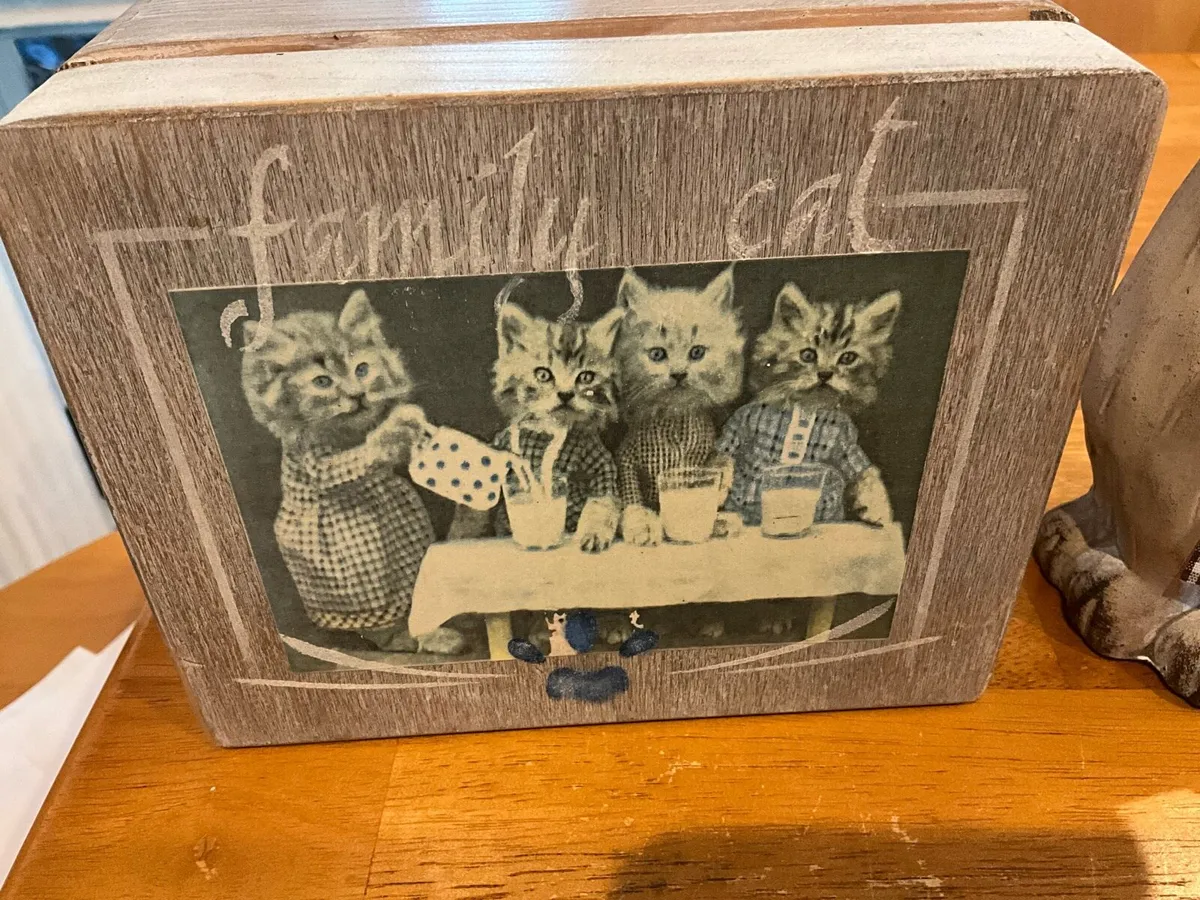 ‘Family Cat Box’ - Image 3