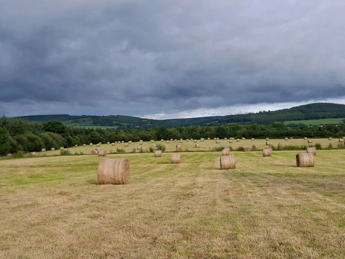 Hay bales - Image 1