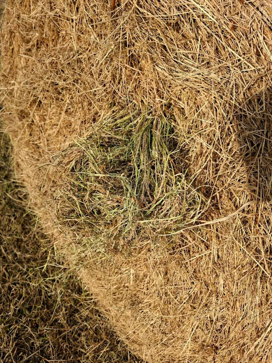 Hay bales - Image 2