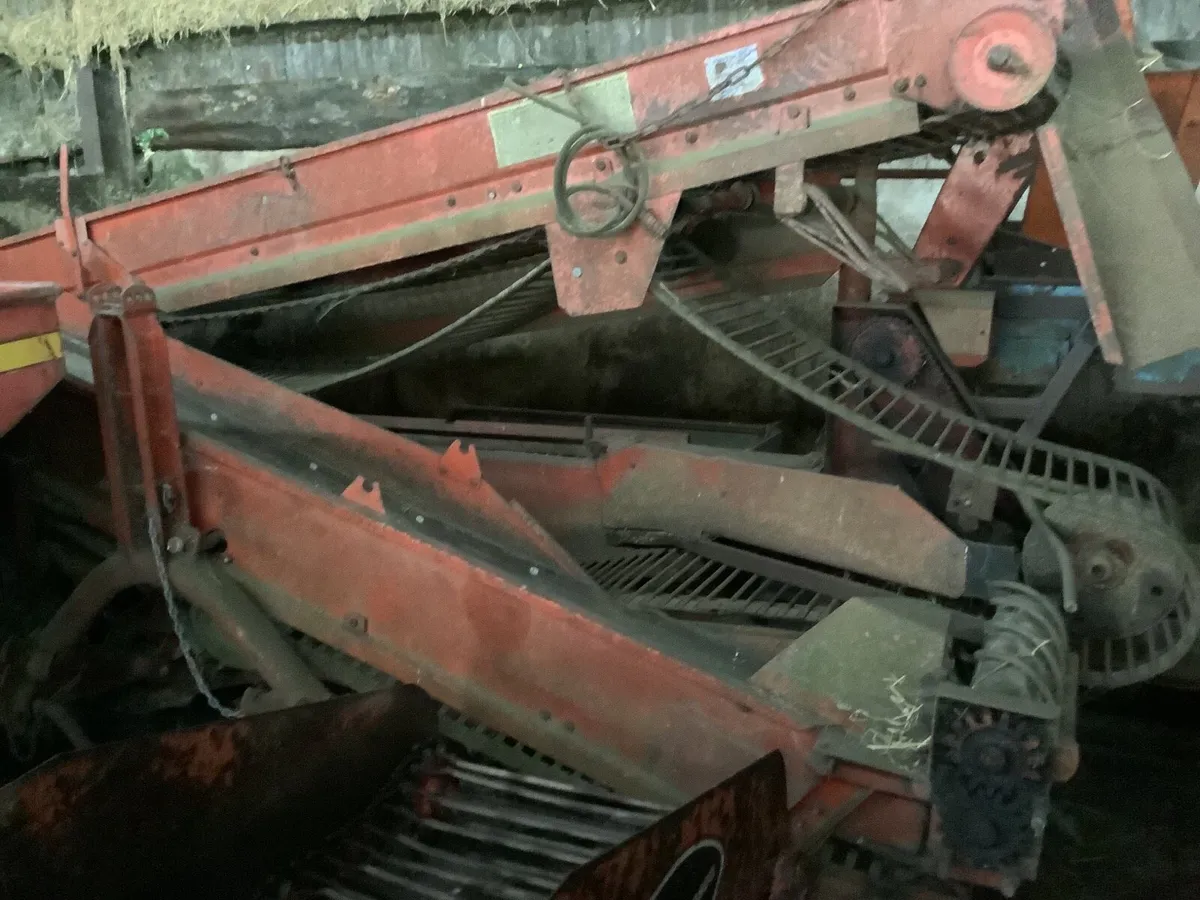 Potato equipment - Image 2