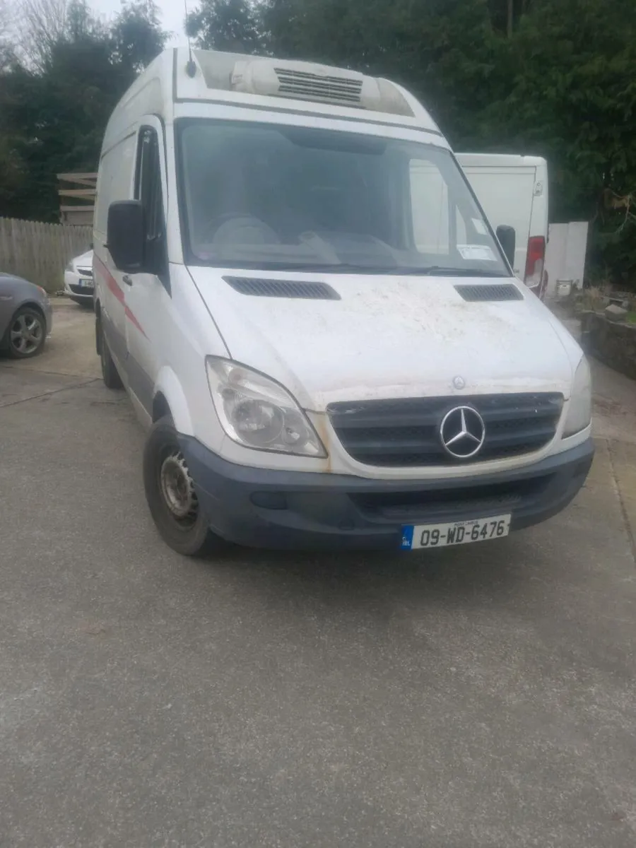 Breaking Mercedes sprinters - Image 1