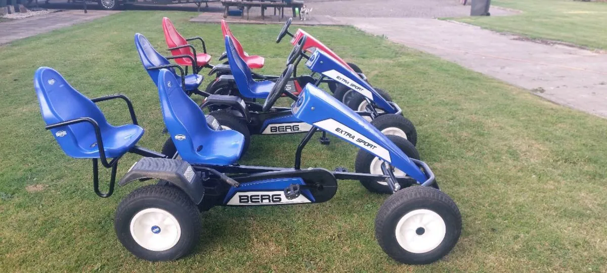 Berg Extra sports BFR model - Image 1